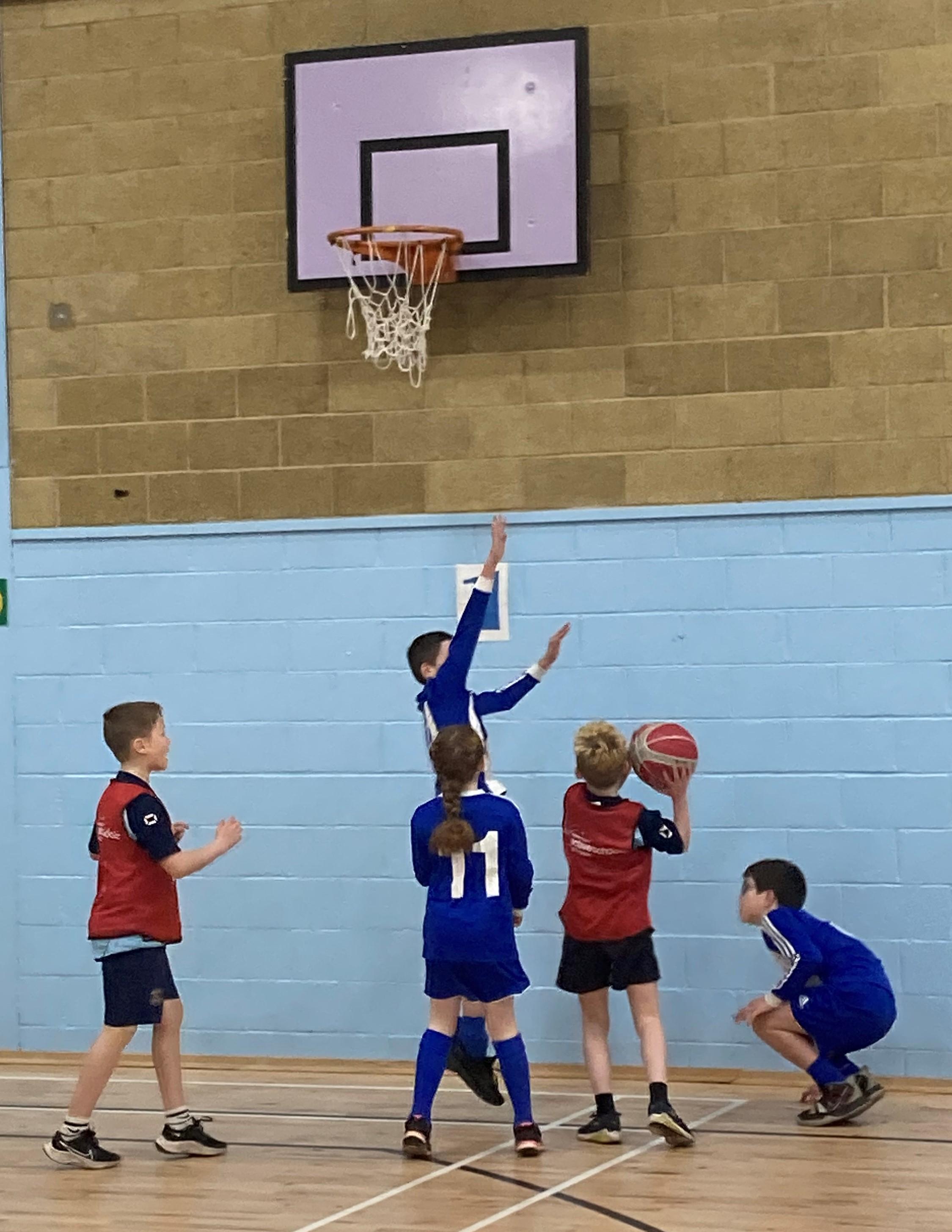 Primary Basketball